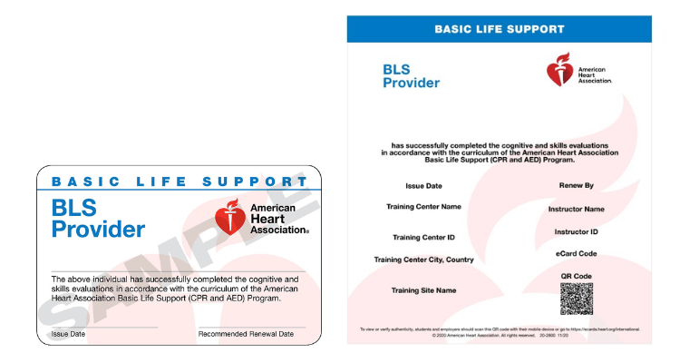 BLS provider card