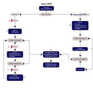 AHA ACLS Cardiac Arrest Algorithm | 2020-2025 Guidelines