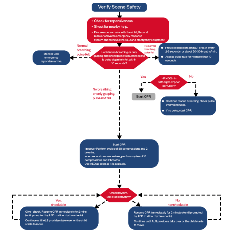 BLS Algorithm for Healthcare Providers: 2020–2025 AHA Guidelines