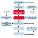 BLS Algorithm for Healthcare Providers: 2020–2025 AHA Guidelines