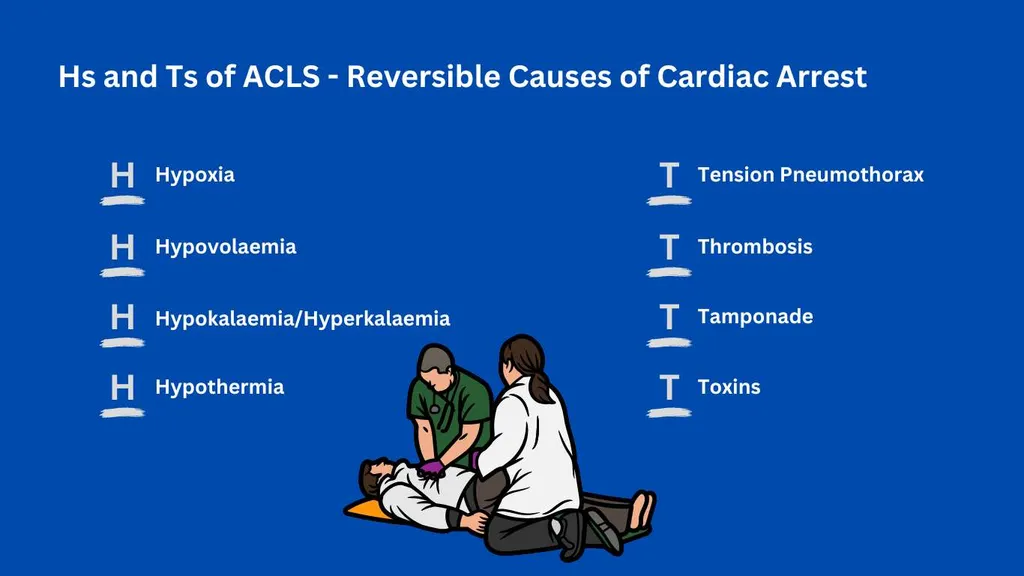 Hs and Ts of ACLS