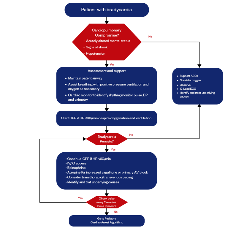PALS Bradycardia Algorithm - Heart Start CPR