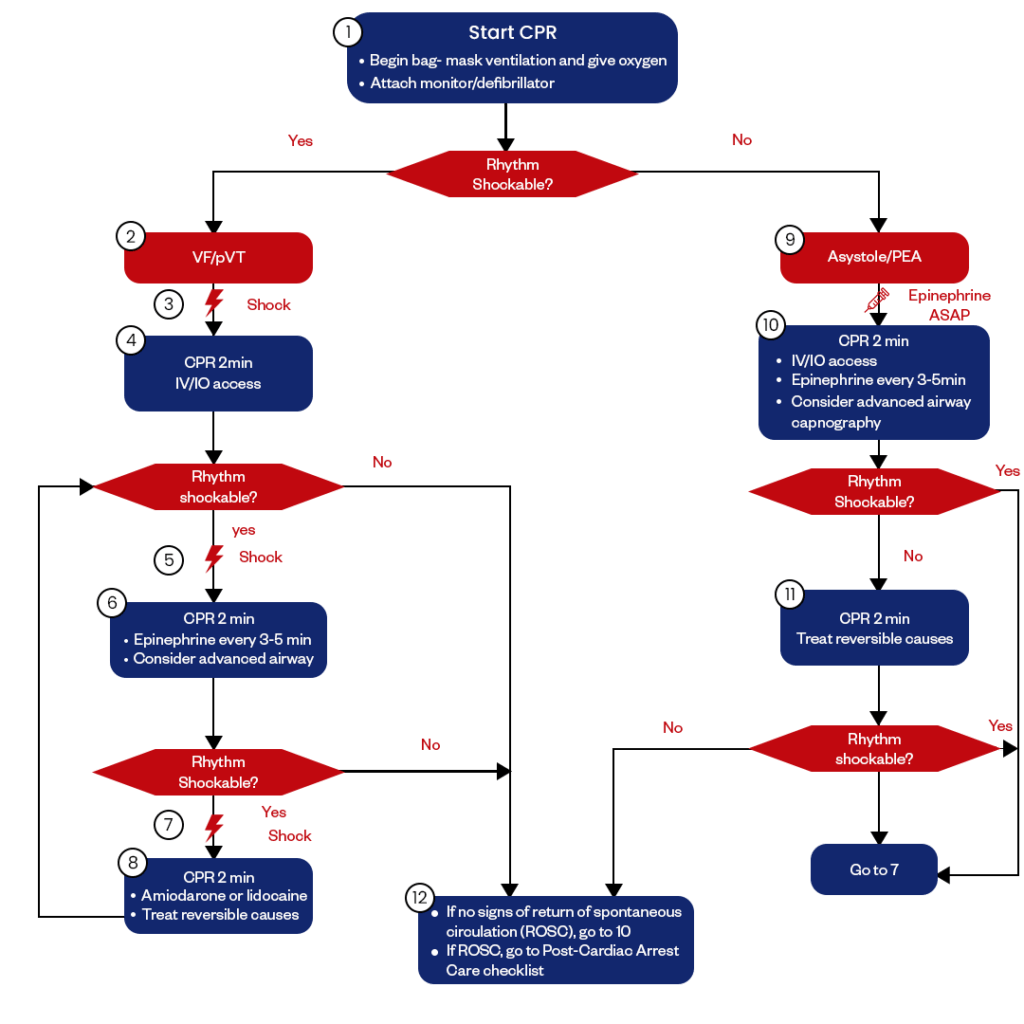 Pediatric Cardiac Arrest Algorithm - Heart Start CPR