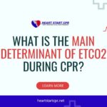 What is the Main Determinant of EtCO2 During CPR?
