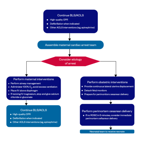 AHA ACLS Algorithms & Flowcharts 2020-2025: Emergency Cardiovascular ...