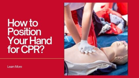 How to Position Your Hand for CPR? - CPR Hand Placement