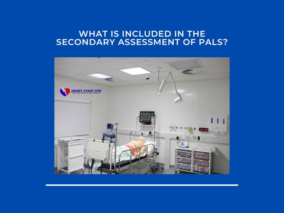 What is included in the Secondary Assessment of PALS?