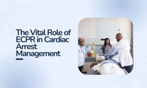 What Roles Does Ecpr Fill In The Management Of Cardiac Arrest